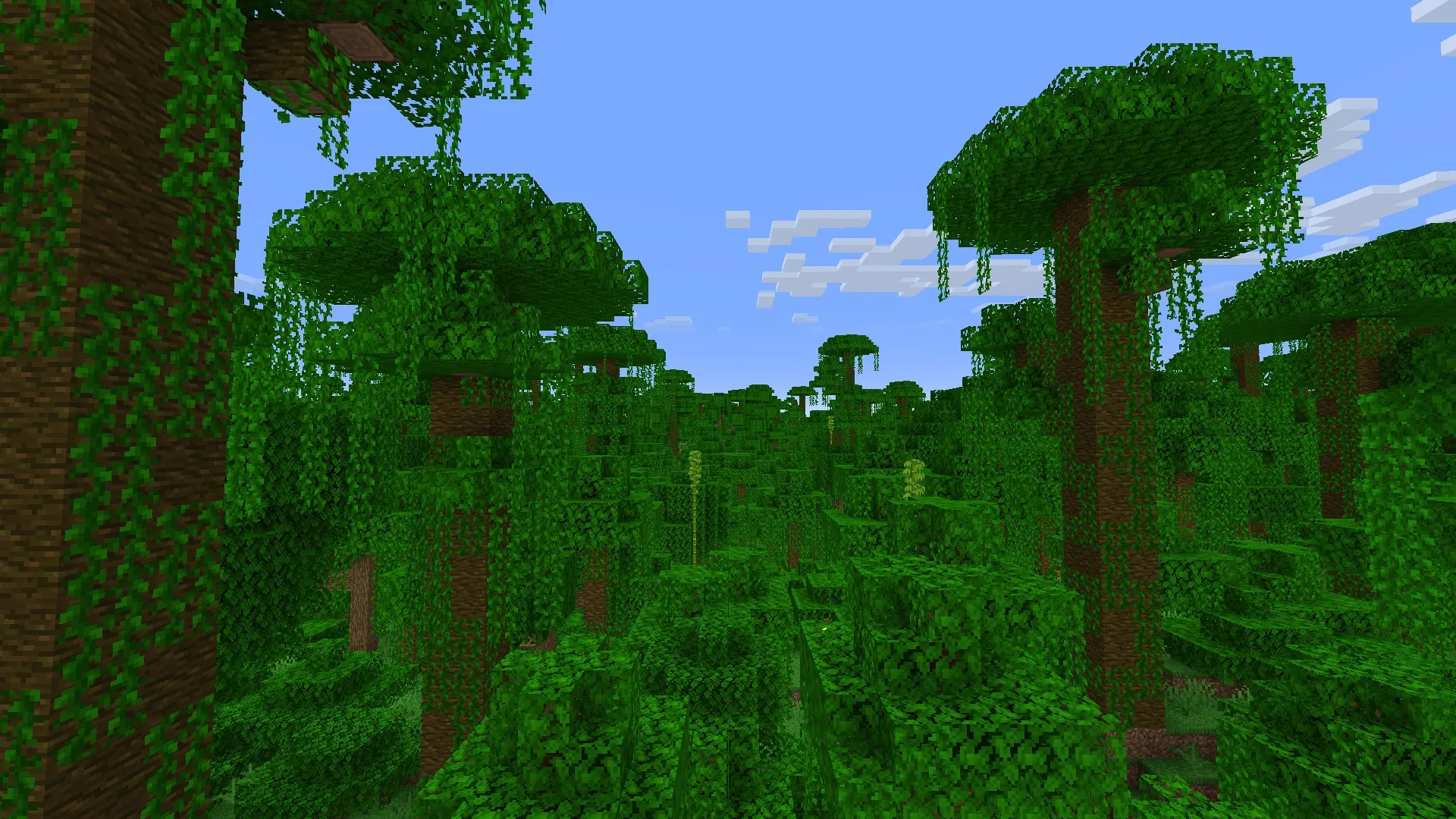 Minecraft jungle biome with dense tree canopy and hanging vines